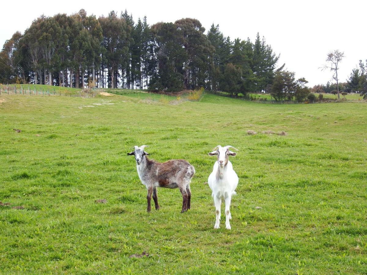 Mahana Farm Cottage エクステリア 写真